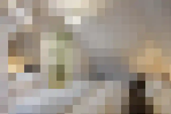 Godsacker 37 Franeker thumbnail 42
