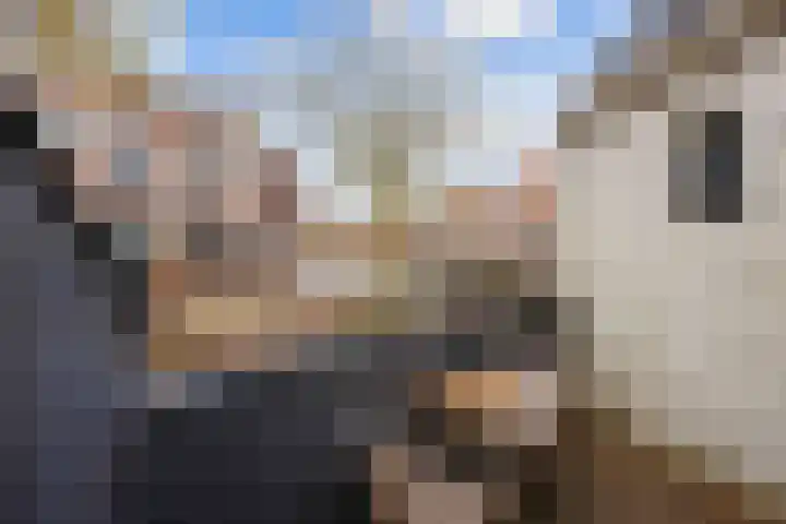 Godsacker 37 Franeker thumbnail 48