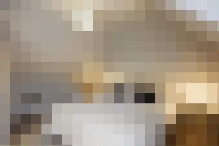 Godsacker 37 Franeker thumbnail 5