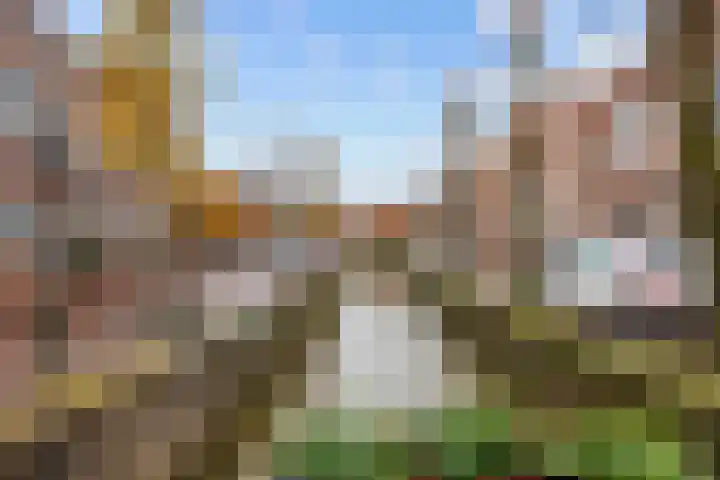 Godsacker 37 Franeker thumbnail 50
