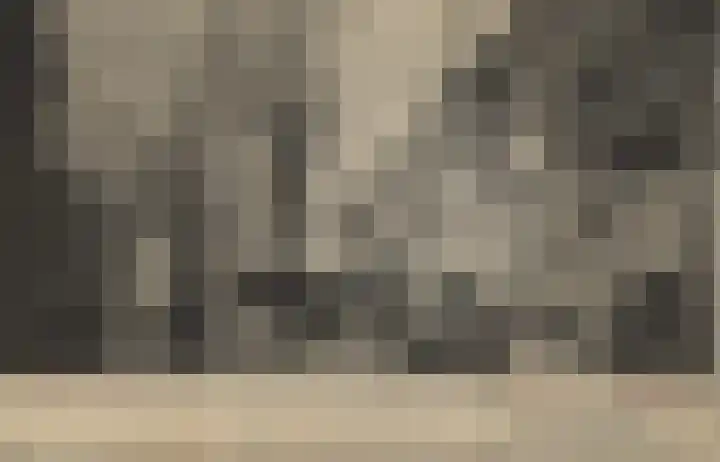 Godsacker 37 Franeker thumbnail 52