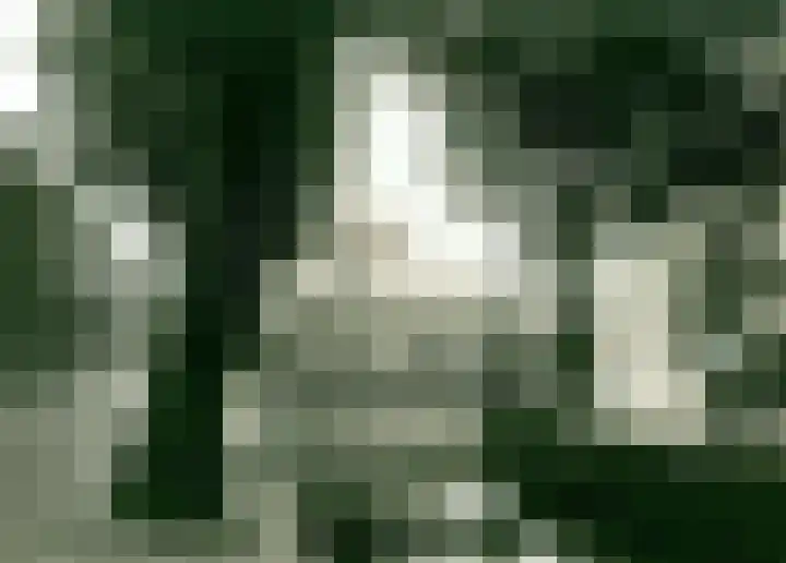 Godsacker 37 Franeker thumbnail 53