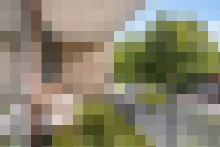 Godsacker 37 Franeker thumbnail 58