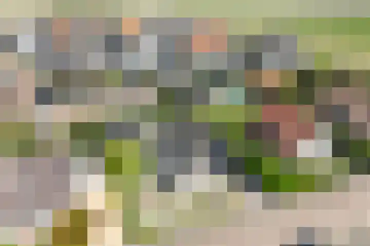 Godsacker 37 Franeker thumbnail 63