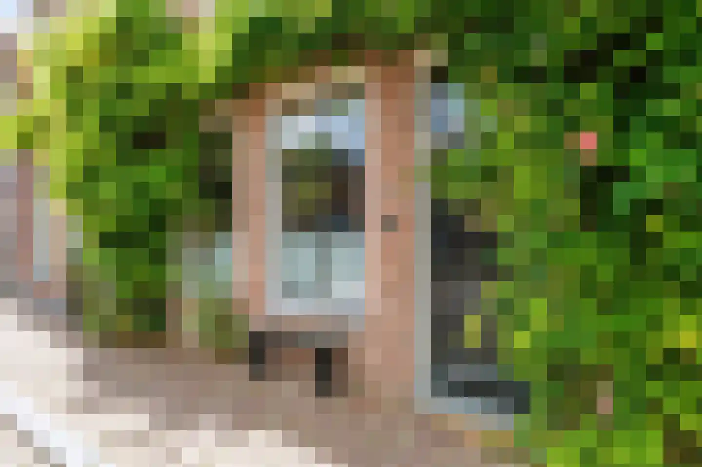 Godsacker 5 Franeker thumbnail 12
