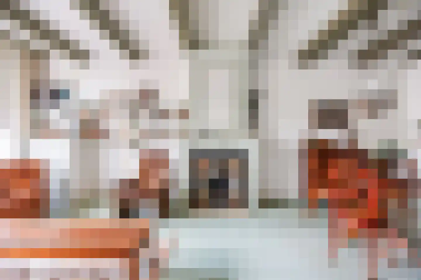 Godsacker 5 Franeker thumbnail 23