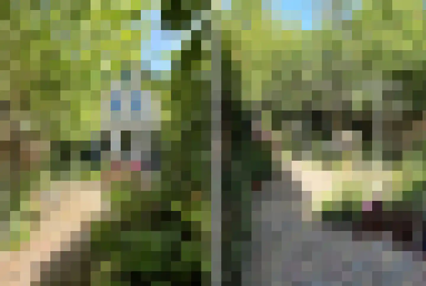Godsacker 5 Franeker thumbnail 39