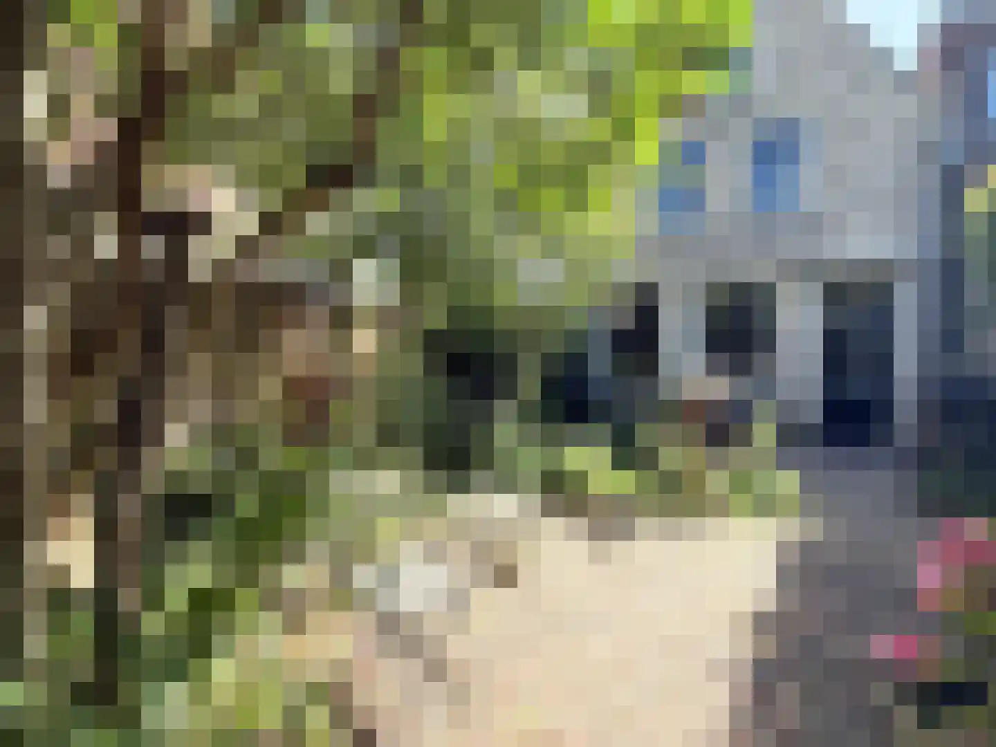 Godsacker 5 Franeker thumbnail 42