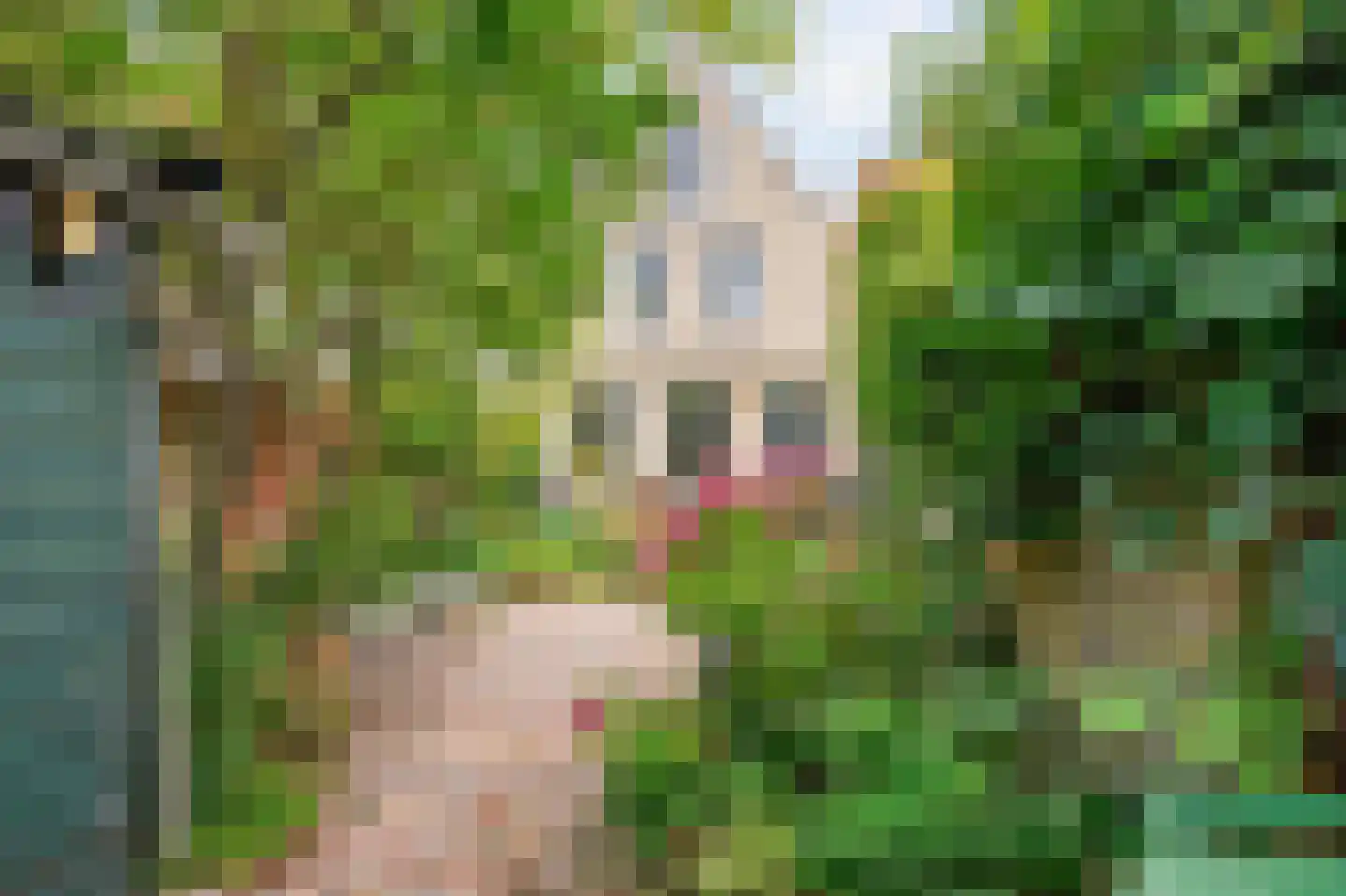 Godsacker 5 Franeker thumbnail 44
