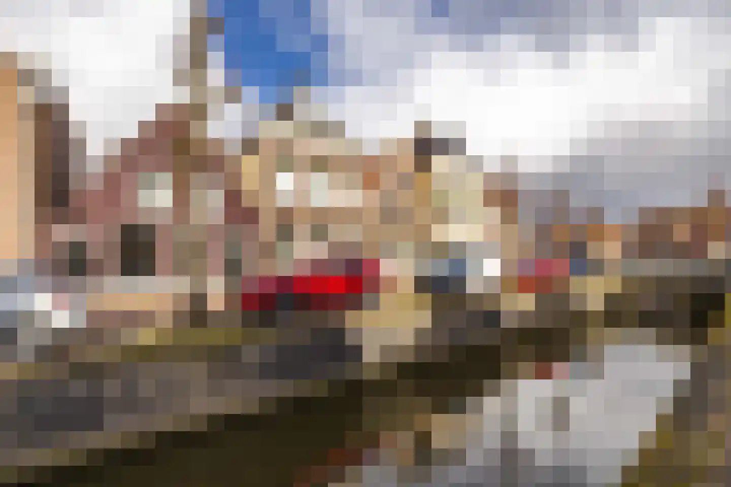 Godsacker 9 Franeker foto 2