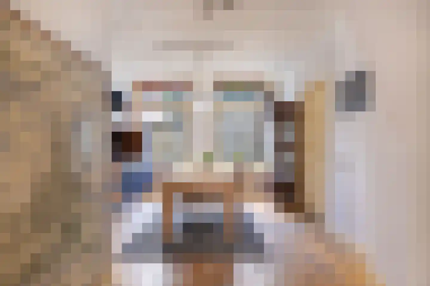 Godsacker 9 Franeker thumbnail 23