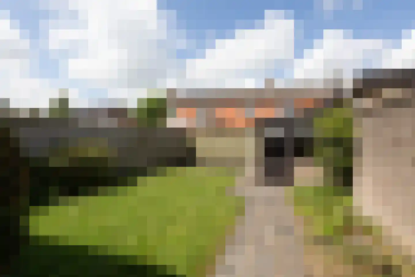 Godscalcusstraat 17 Bolsward thumbnail 22