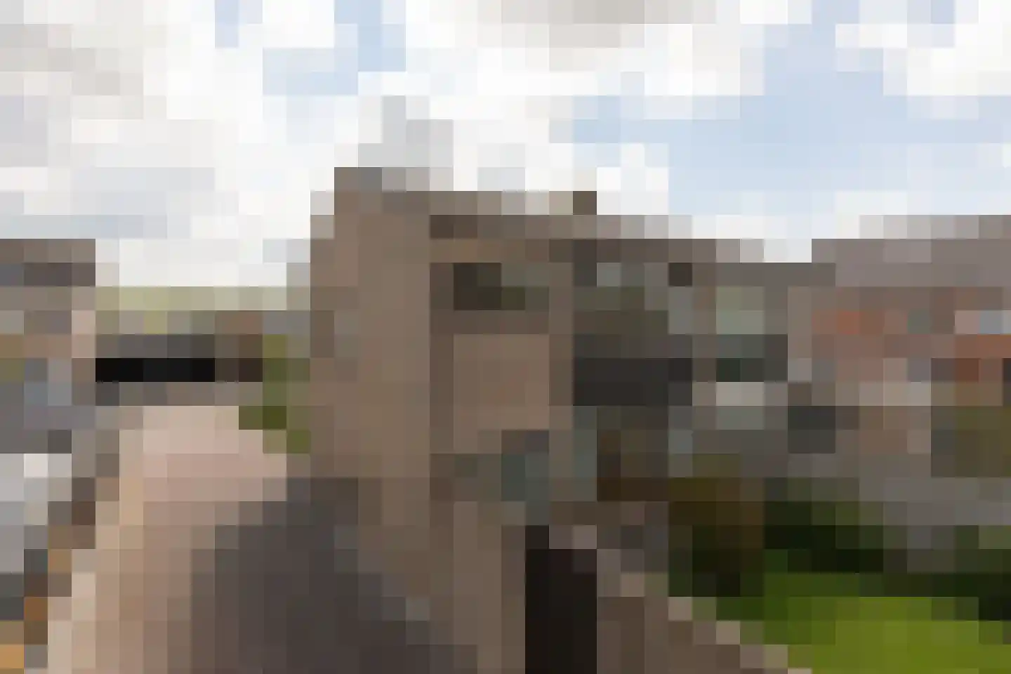 Godscalcusstraat 17 Bolsward thumbnail 26