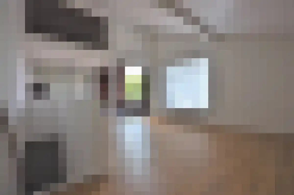Godschalk Rosemondtstraat 29 Eindhoven thumbnail 4