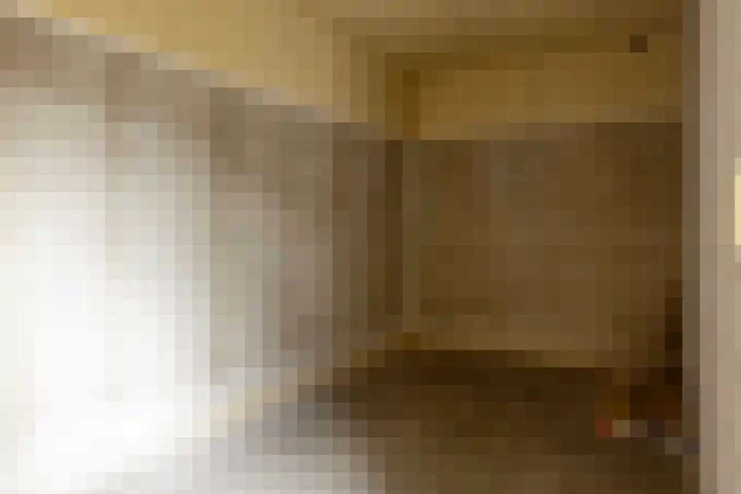 Godsplein 4 c Hulst thumbnail 23