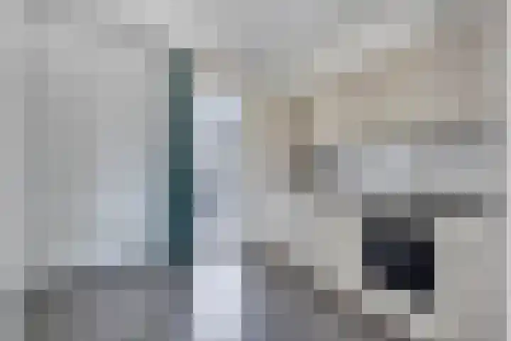 Godsplein 4 g Hulst thumbnail 15