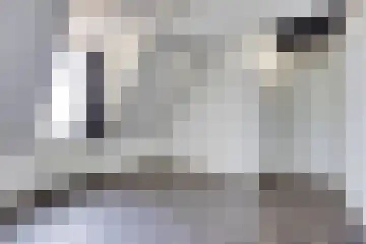 Godsplein 4 g Hulst thumbnail 22