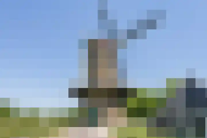 Godsplein 4 g Hulst thumbnail 27