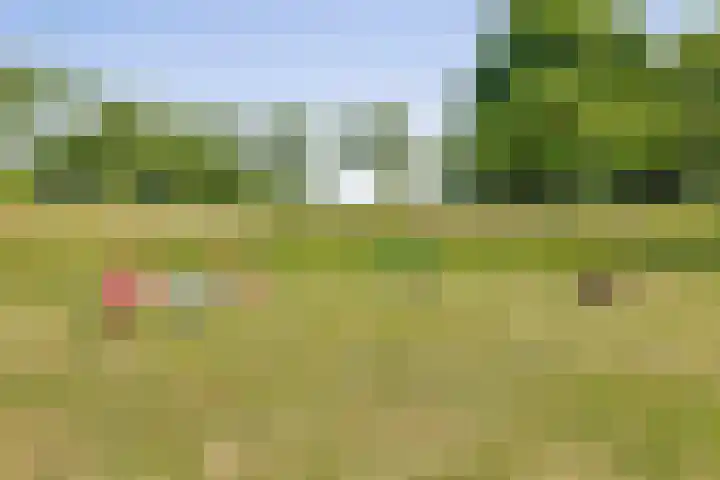 Godsplein 4 g Hulst thumbnail 28