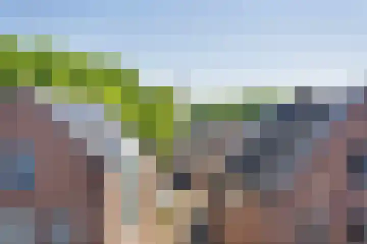 Godsplein 4 g Hulst thumbnail 4