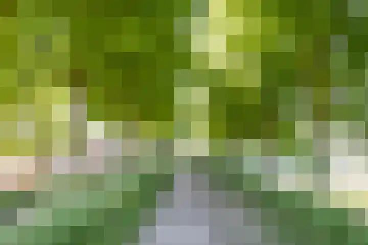Godsplein 4 g Hulst thumbnail 5