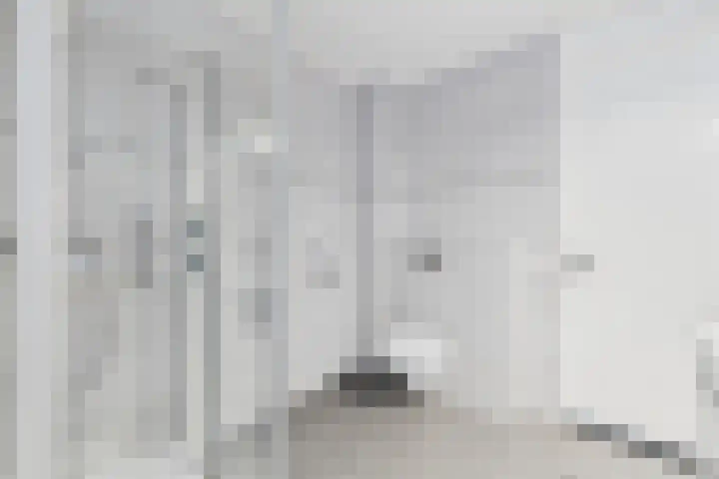 Godsplein 4 Hulst thumbnail 32