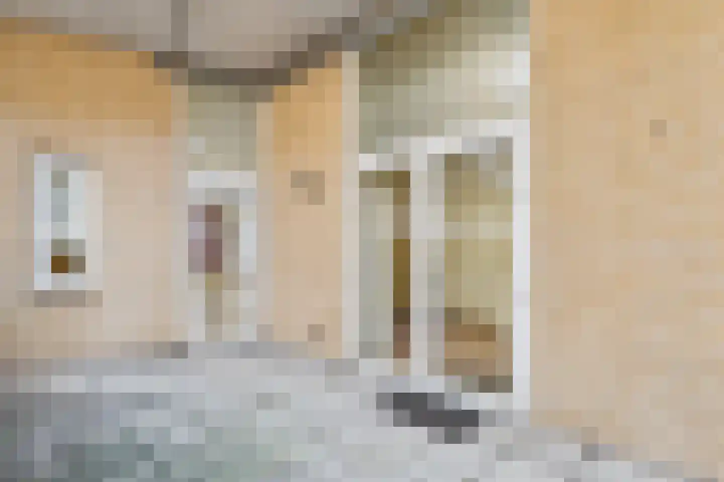 Godsplein 4 Hulst thumbnail 36