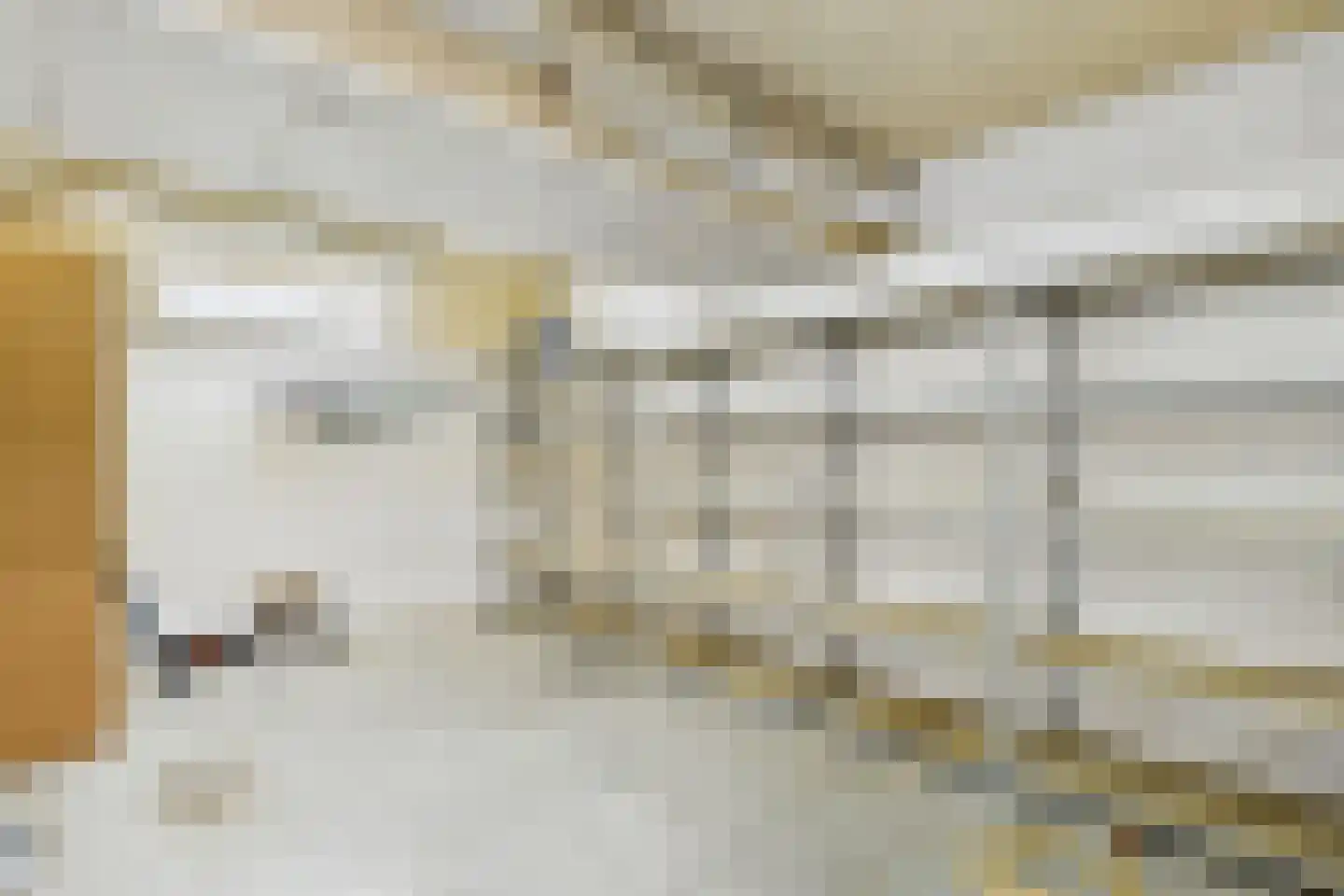 Godsplein 4 Hulst thumbnail 41
