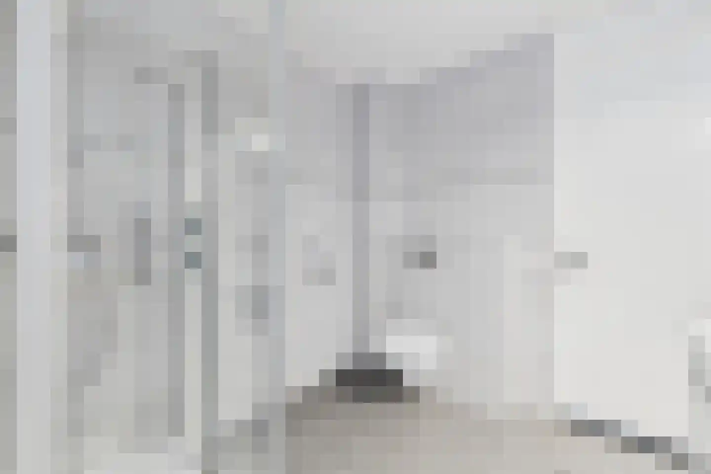 Godsplein 4 Hulst thumbnail 5