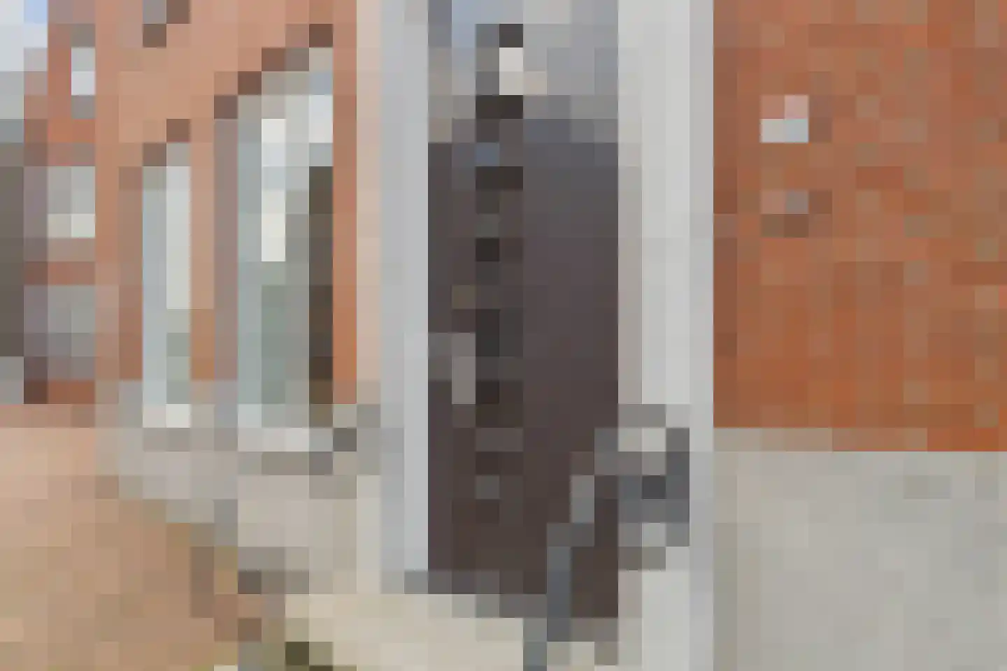 Godsplein 4 Hulst thumbnail 8