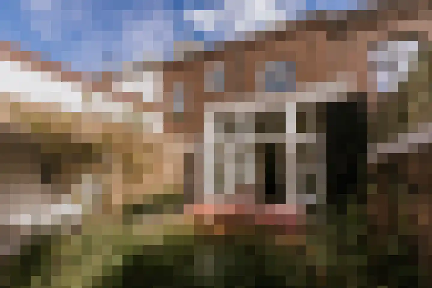 Godsweerdersingel 17 Roermond thumbnail 30
