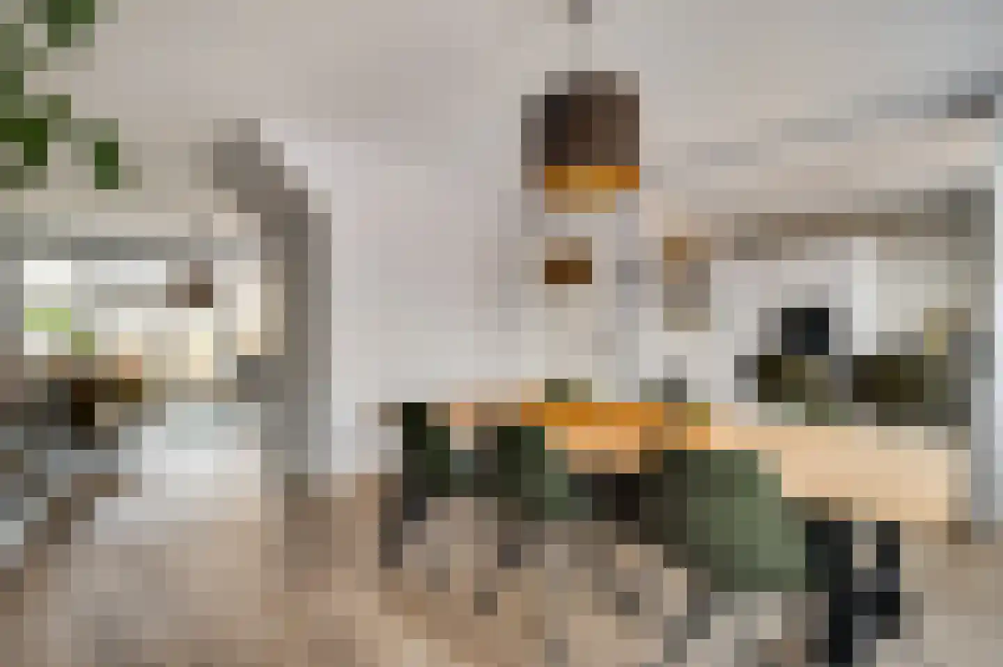 Godsweerdersingel 93 B Roermond thumbnail 13