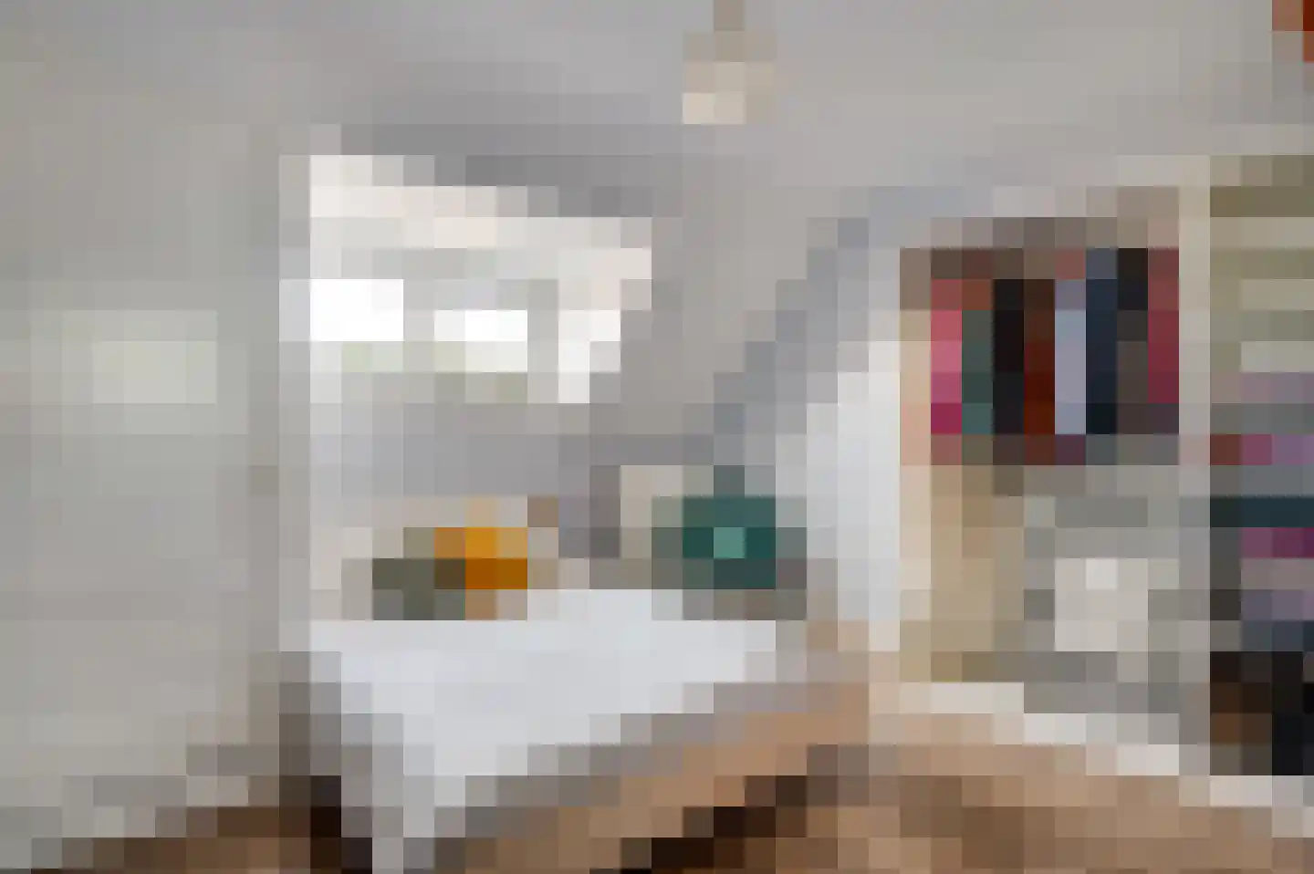 Godsweerdersingel 93 B Roermond thumbnail 23