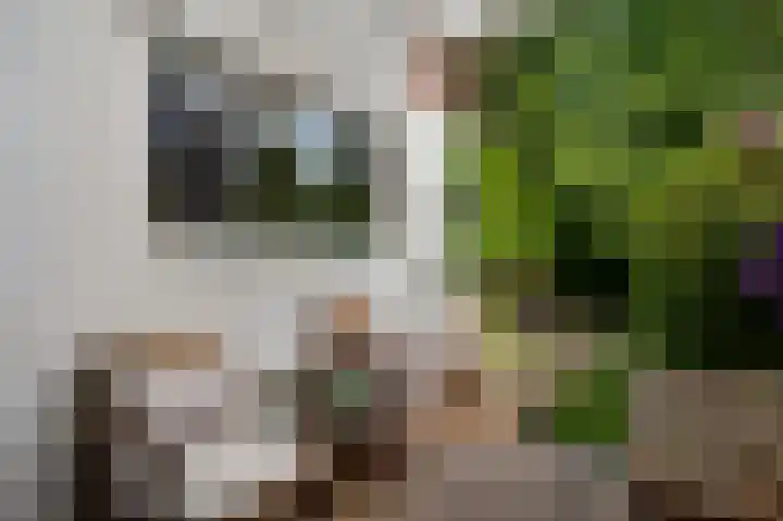 Godsweerderstraat 12 Roermond thumbnail 33