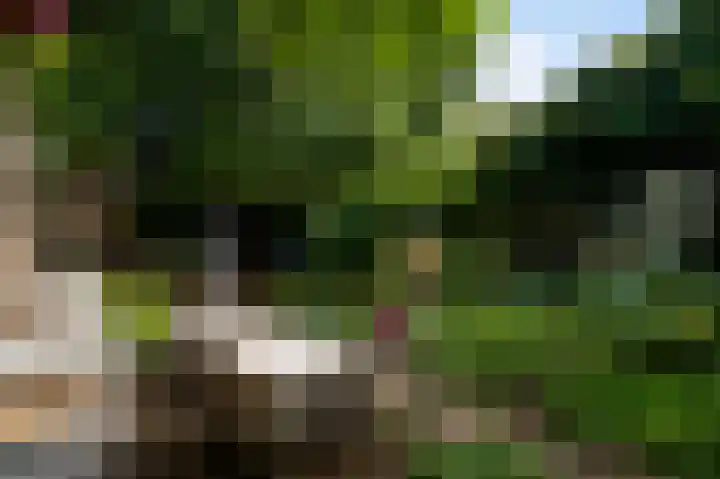 Godsweerderstraat 12 Roermond thumbnail 36