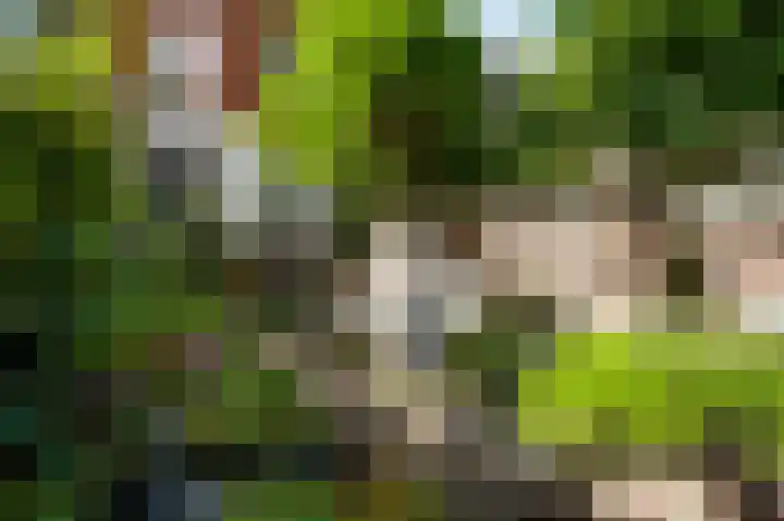 Godsweerderstraat 12 Roermond thumbnail 38