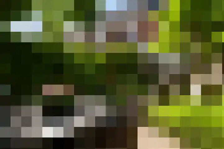 Godsweerderstraat 12 Roermond thumbnail 39