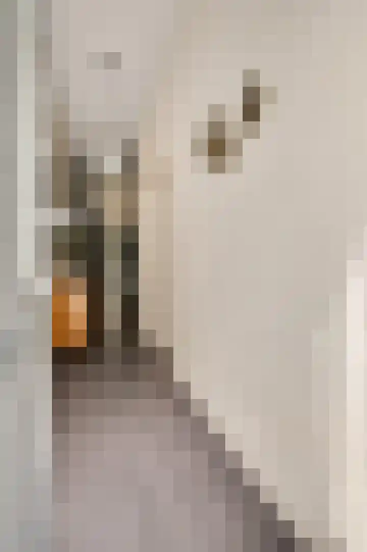 Godsweerderstraat 12 Roermond thumbnail 4