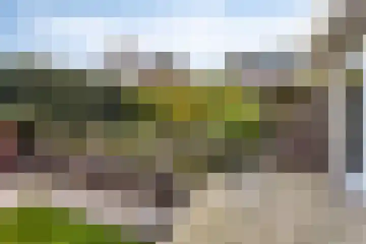 Godsweerderstraat 8 Roermond thumbnail 28