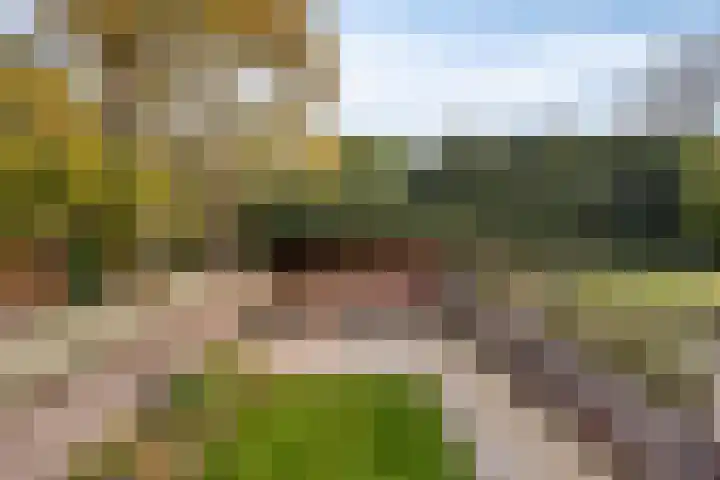 Godsweerderstraat 8 Roermond thumbnail 29