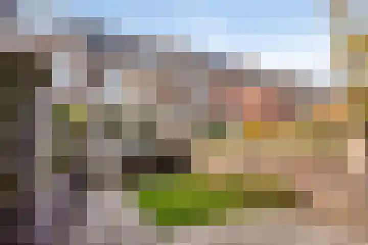 Godsweerderstraat 8 Roermond thumbnail 30