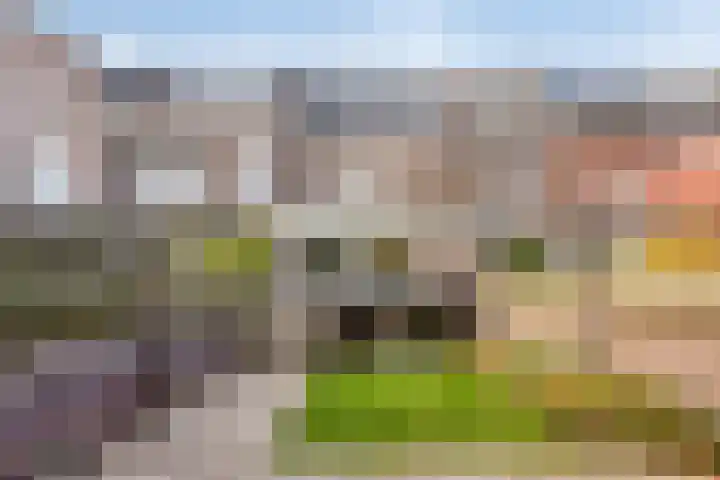 Godsweerderstraat 8 Roermond thumbnail 31