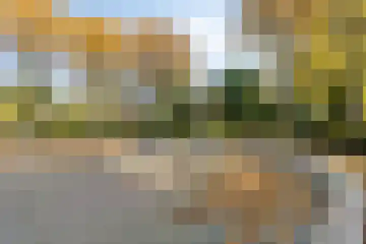 Godsweerderstraat 8 Roermond thumbnail 35
