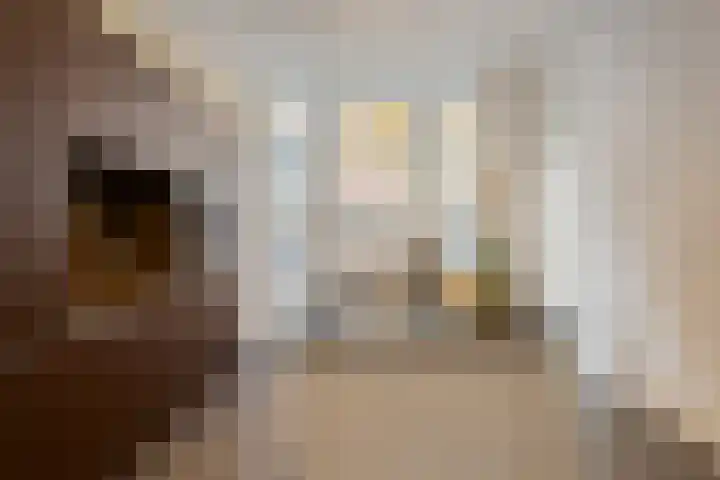 Godsweerderstraat 8 Roermond thumbnail 8