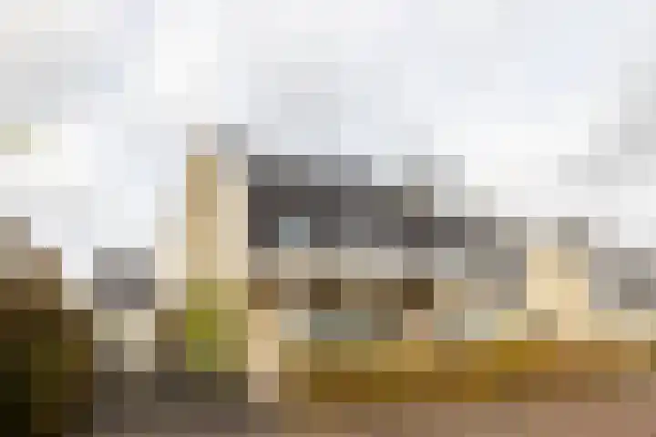 Goedaerthof 23 in Rotterdam