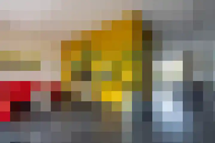 Goedaerthof 23 Rotterdam thumbnail 11