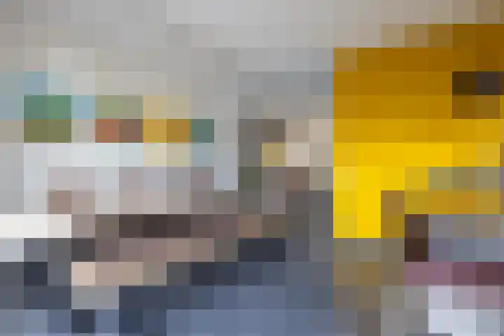 Goedaerthof 23 Rotterdam thumbnail 12