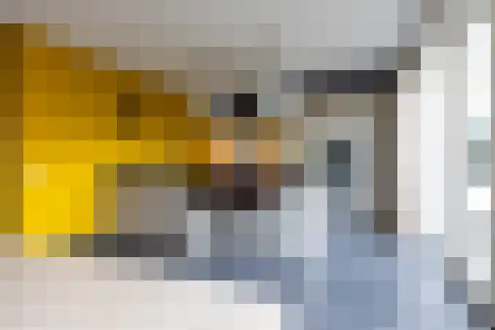 Goedaerthof 23 Rotterdam thumbnail 14