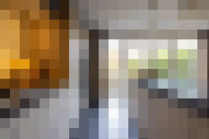 Goedaerthof 23 Rotterdam thumbnail 15