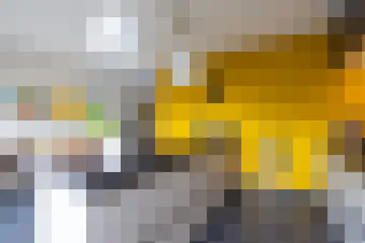 Goedaerthof 23 Rotterdam thumbnail 16